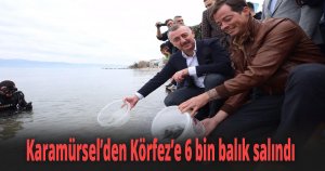 Karamürsel’den Körfez’e 6 bin balık salındı