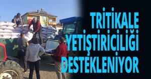TRİTİKALE YETİŞTİRİCİLİĞİ DESTEKLENİYOR