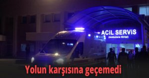 Yolun karşısına geçemedi