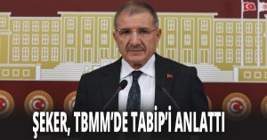 ŞEKER, TBMM’DE TABİP’İ ANLATTI