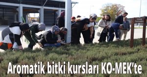 Aromatik bitki kursları KO-MEK’te