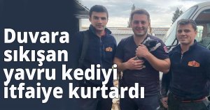 Duvara sıkışan yavru kediyi itfaiye kurtardı
