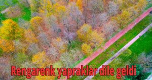  Rengarenk yapraklar dile geldi