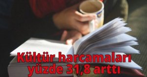  Kültür harcamaları yüzde 31,8 arttı