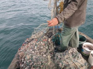 İZMİT KÖRFEZİNDEKİ DENİZ KATLİAMI TBMM GÜNDEMİNDE