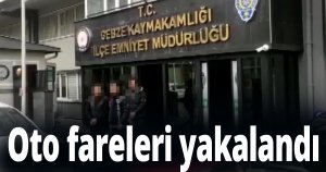 Oto fareleri yakalandı
