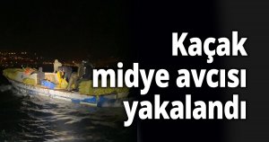 Kaçak midye avcısı yakalandı