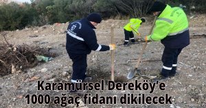    Karamürsel Dereköy’e 1000 ağaç fidanı dikilecek