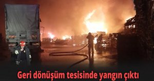 Geri dönüşüm tesisinde yangın çıktı