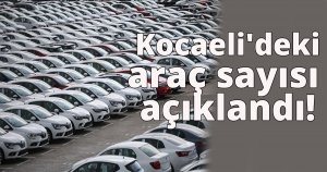 Kocaeli'deki araç sayısı açıklandı!