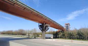 Ormanya yaya üstgeçidinde sona doğru