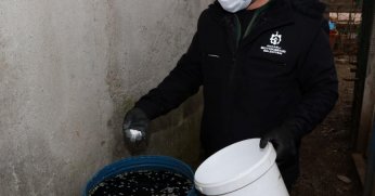 Sivrisineksiz 2023 yazına hazırlık