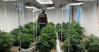 Villayı uyuşturucu serasına çevirdiler!