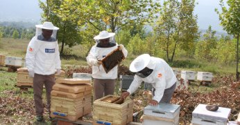 Büyükşehir’den arıcılara 55 ton arı yemi