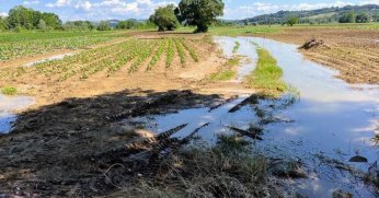 Büyükşehir’den tarlaları selden zarar gören çiftçilere destek
