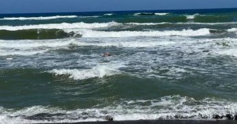 Kandıra'da denize girmek yasaklandı