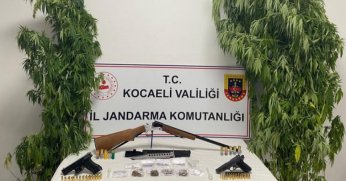 Jandarmadan uyuşturucu operasyonu