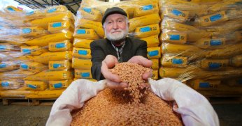 Büyükşehir’den çiftçilere tohum desteği