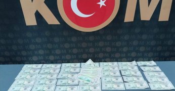 Piyasaya sahte dolar süren şebeke yakalandı