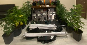 Evinde uyuşturucu yetiştirdi, mahkeme serbest bıraktı