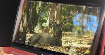 Ormanya’nın yaban hayatı TRT Belgesel ekranlarında