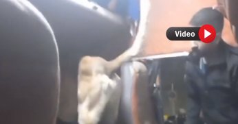 775 bin adet uyuşturucu hap ele geçirildi