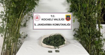 Jandarma ekiplerinden uyuşturucu baskını