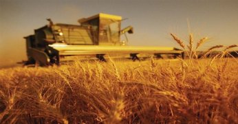 Tarım üretici enflasyonu yüzde 62 arttı