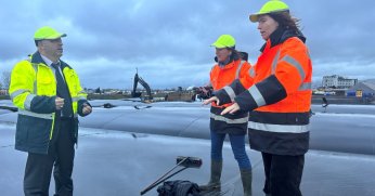 Dip çamuru temizliğine uluslararası basından ilgi