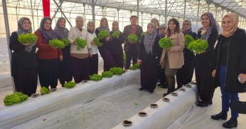 Topraksız tarım projesine kadın çiftçilerden yoğun ilgi