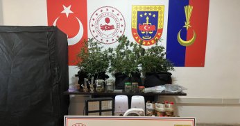 Jandarma ekiplerinden uyuşturucu operasyonu