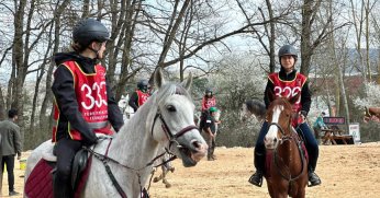 En dayanıklı atlar 120 km’lik parkurda yarıştı