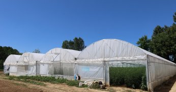 Büyükşehir’den yüzde 50 hibeli modern sera desteği