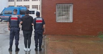 Jandarmanın yakaladığı PKK'lı tutuklandı