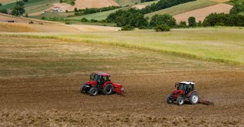 Mısır tohumları toprakla buluşuyor