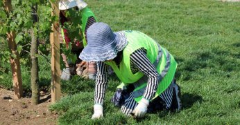 Solaklar Köprülü Kavşağı’na kadın eli değdi