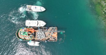 KÖRFEZ’DE DENİZ YAŞAMI ZENGİNLEŞECEK