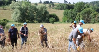 KANDIRA’DA KETEN YENİDEN HAYATA GEÇİRİLİYOR