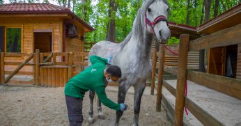 Ormanya bayramda ziyaretçilerini bekliyor