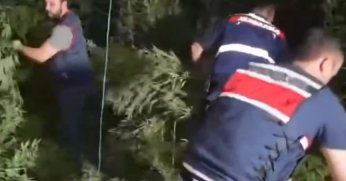 445 zehir taciri ve 25 sokak satıcısı yakalandı