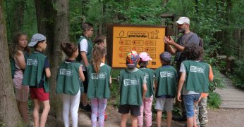 Ormanya “Yaz Okulu” başlıyor!