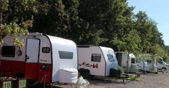 Ormanya kamp alanında yenileme