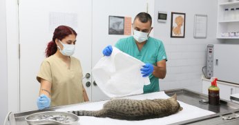 “Şans” Artık Yeni Yuvasında