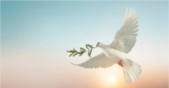 EMEP: SAVAŞLARA KARŞI BARIŞ MÜCADELESİNİ BÜYÜTELİM!