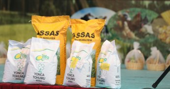 Büyükşehir’den çiftçiye sonbahar tohum desteği