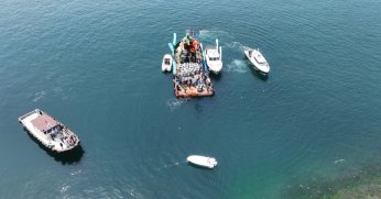 İzmit Körfezi’ne 6 bin balık daha salınacak