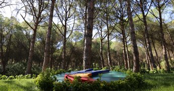 GTÜ'den Sürdürülebilirlikte Küresel Başarı