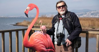 ‘Flamingo Şenliği’ ile kutlandı
