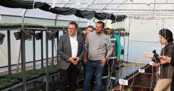 Derince Belediyesi Kendi Serasını Kurdu