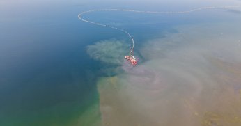 Körfez'de mavi dönüşüm